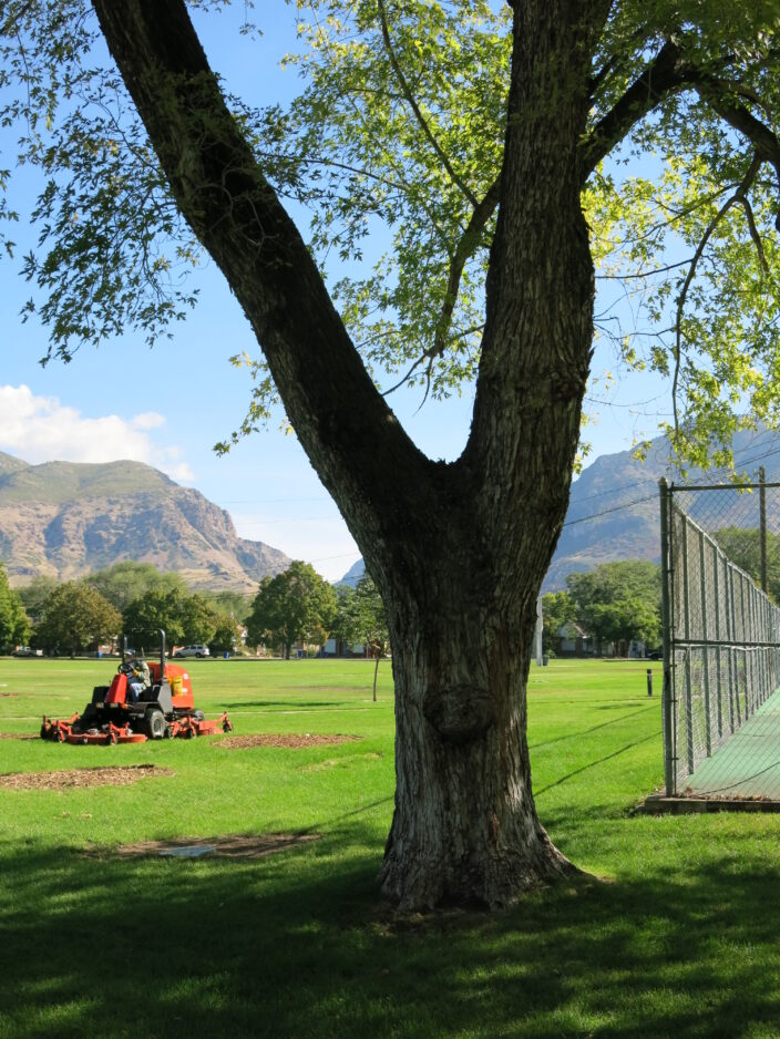 Ogden Liberty Park has (soccer) goals in mind News, Sports, Jobs StandardExaminer